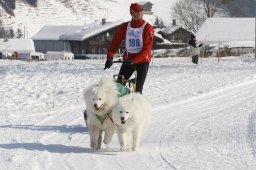 Lenk 2012 SM